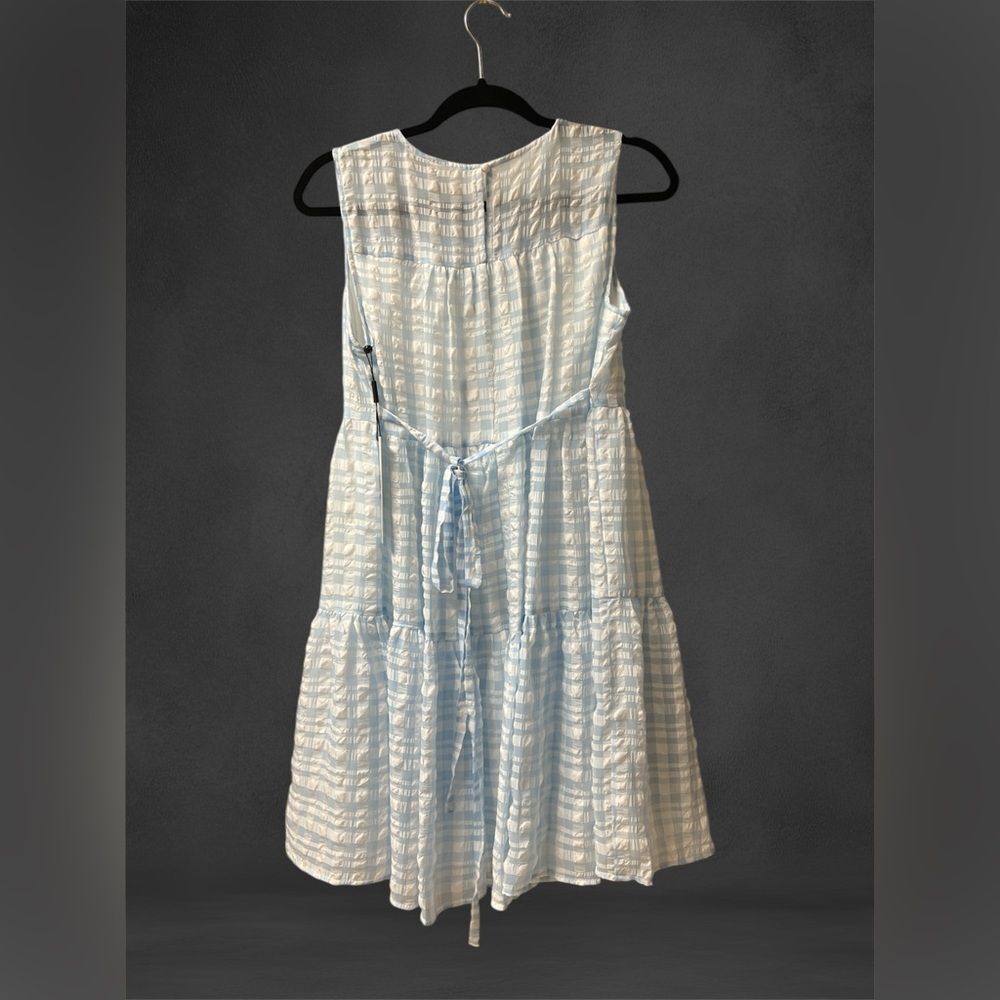 Blue Checkered Sleeveless Dress - Picture 4 of 11